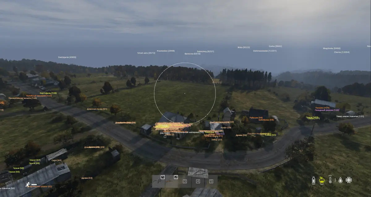 Pirate BC — DayZ screenshot 1